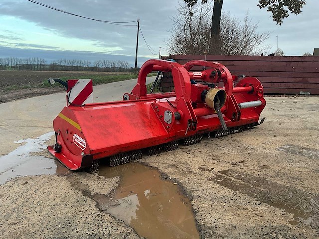 Maschio klepelmaaier - afbeelding 1 van  13