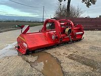 Maschio klepelmaaier - afbeelding 1 van  13