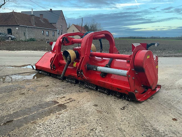 Maschio klepelmaaier - afbeelding 7 van  13