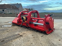 Maschio klepelmaaier - afbeelding 7 van  13