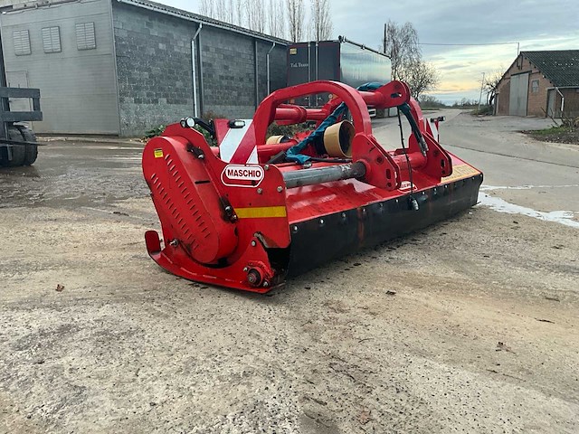 Maschio klepelmaaier - afbeelding 9 van  13