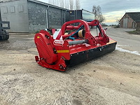 Maschio klepelmaaier - afbeelding 9 van  13