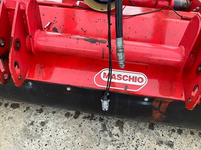 Maschio klepelmaaier - afbeelding 11 van  13