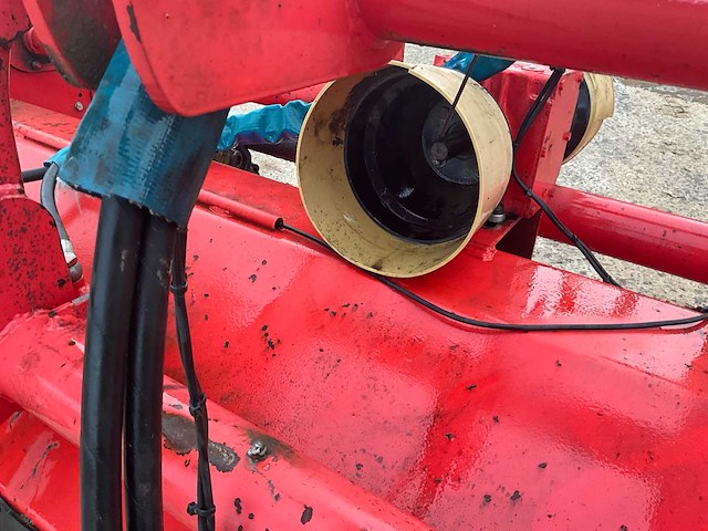 Maschio klepelmaaier - afbeelding 12 van  13