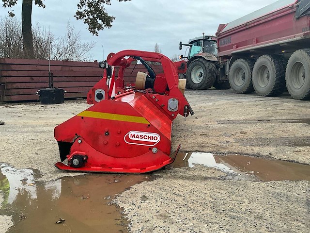 Maschio klepelmaaier - afbeelding 13 van  13