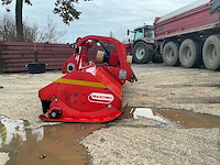 Maschio klepelmaaier - afbeelding 13 van  13