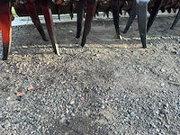 Maschio orso 3000 met gaspardo alitalia opbouw zaaicombinatie - afbeelding 13 van  76