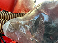 Maschio orso 3000 met gaspardo alitalia opbouw zaaicombinatie - afbeelding 34 van  76