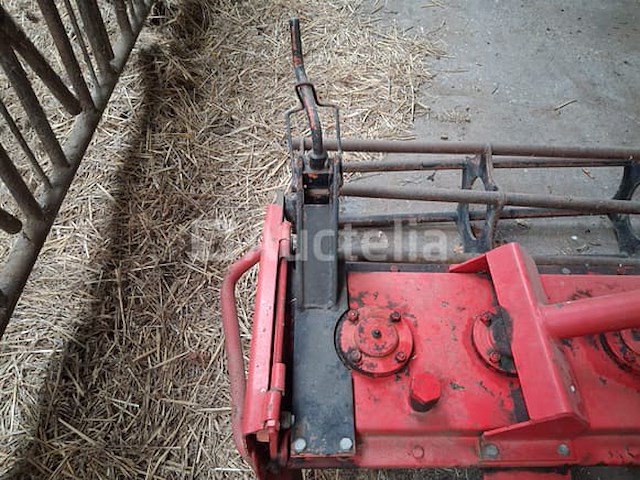 Maschio rotkharw. - afbeelding 2 van  10