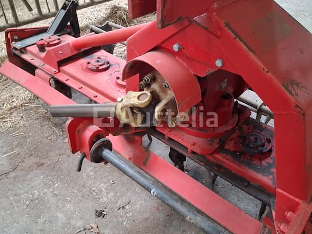 Maschio rotkharw. - afbeelding 3 van  10