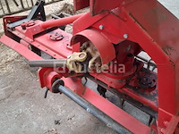 Maschio rotkharw. - afbeelding 3 van  10