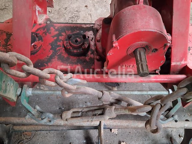 Maschio rotkharw. - afbeelding 4 van  10