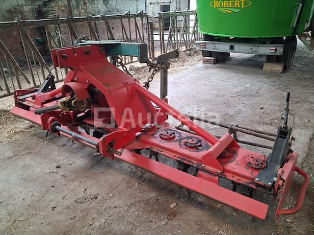 Maschio rotkharw. - afbeelding 5 van  10