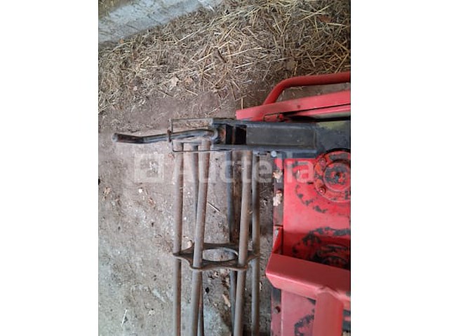 Maschio rotkharw. - afbeelding 6 van  10
