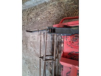 Maschio rotkharw. - afbeelding 6 van  10