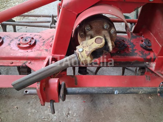 Maschio rotkharw. - afbeelding 7 van  10