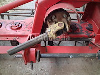 Maschio rotkharw. - afbeelding 7 van  10