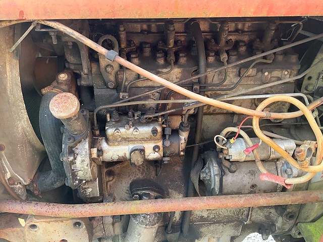 Massey-ferguson 165 vintage tractor - afbeelding 9 van  36