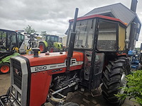 Massey fergusson - 1980 - 260 2rm - oldtimer tractor - afbeelding 11 van  19