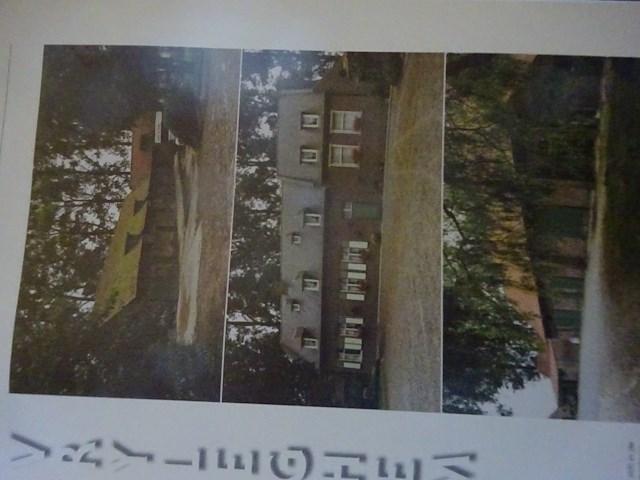 Masureel kamiliegeschiedenis 2000 - afbeelding 2 van  4