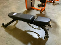 Matrix adjustable bench krachtstation - afbeelding 1 van  2