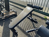 Matrix aura abdominal bench krachtstation