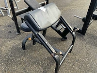 Matrix aura bicepscurl krachtstation