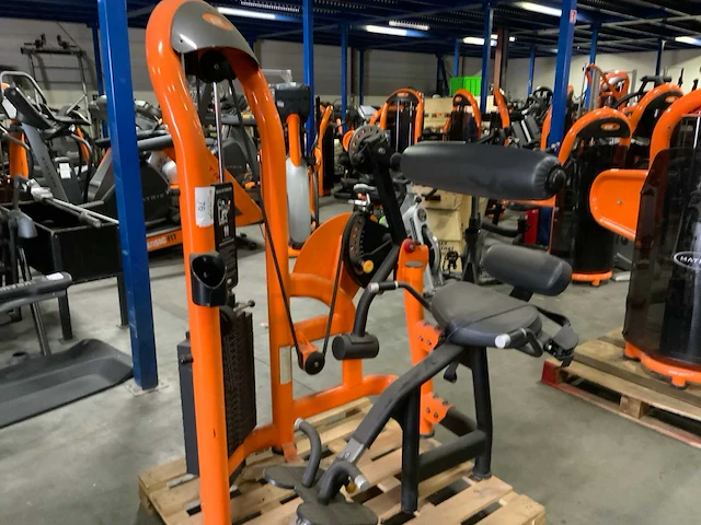 Matrix g3 back extension krachtstation - afbeelding 1 van  4