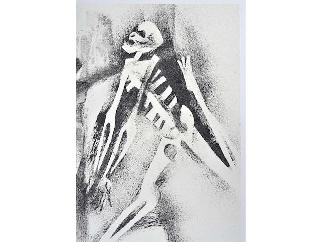 Maurice nevens - kleurenzeefdruk - afbeelding 1 van  1