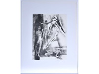 Maurice nevens - nachtschimmen - zeefdruk - afbeelding 2 van  8