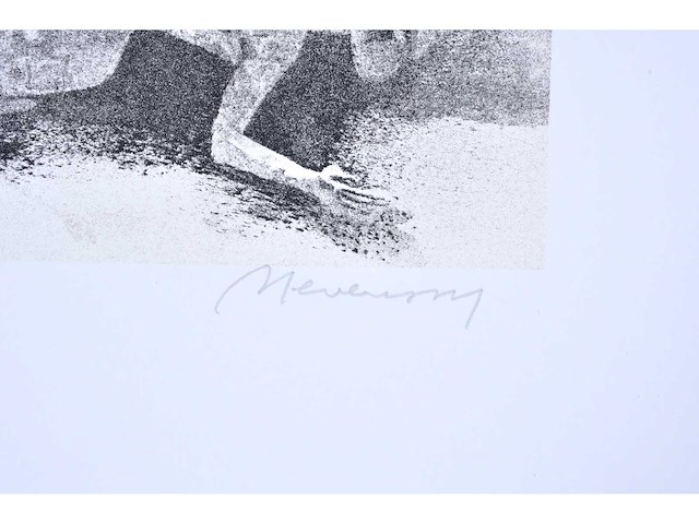 Maurice nevens - nachtschimmen - zeefdruk - afbeelding 3 van  8