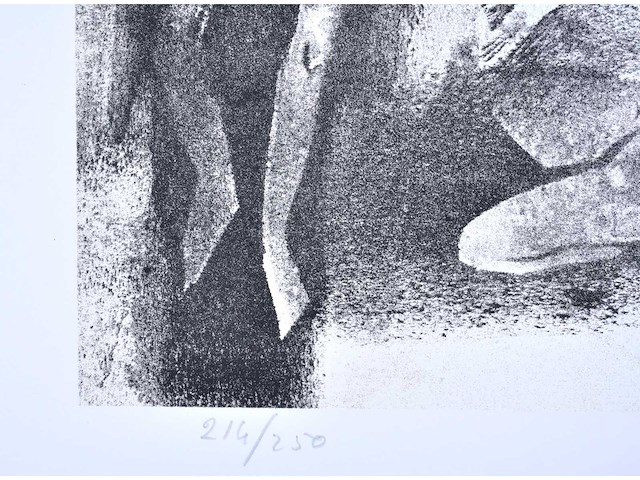 Maurice nevens - nachtschimmen - zeefdruk - afbeelding 4 van  8