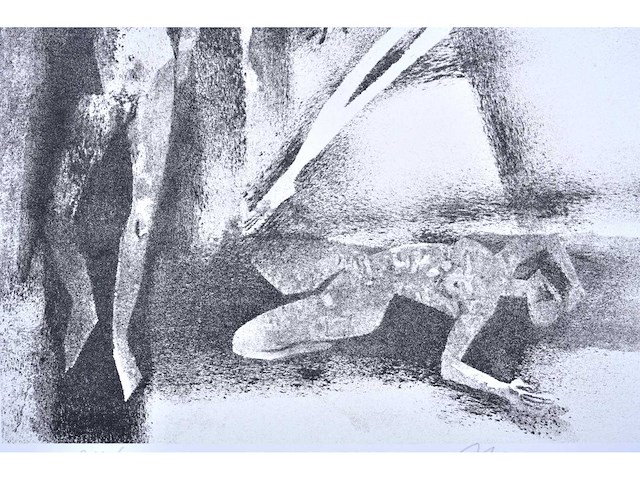 Maurice nevens - nachtschimmen - zeefdruk - afbeelding 5 van  8