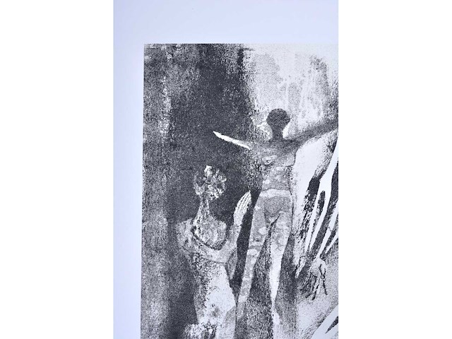 Maurice nevens - nachtschimmen - zeefdruk - afbeelding 6 van  8