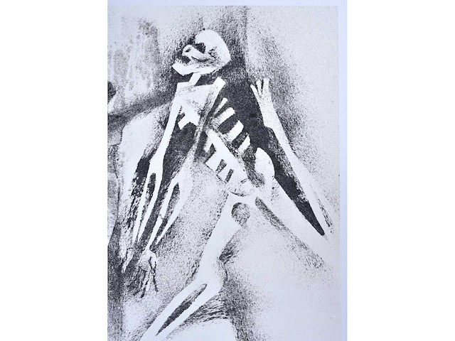 Maurice nevens - nachtschimmen - zeefdruk - afbeelding 7 van  8