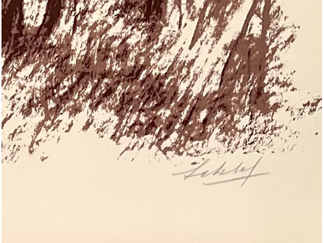 Maurice schelck - afbeelding 3 van  4