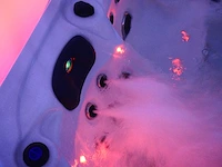 Mawialux 5-persoons buitenspa met balboa en wifi (bomvol opties en 83 massage jets) - witte kuip - afbeelding 14 van  129
