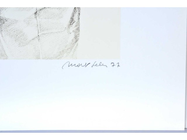 Max selen - zeefdruk - afbeelding 3 van  7