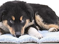 Maxcor middelgrote hondenmat - afbeelding 1 van  4