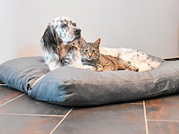 Maxcor orthopedisch hondenkussen - afbeelding 2 van  3