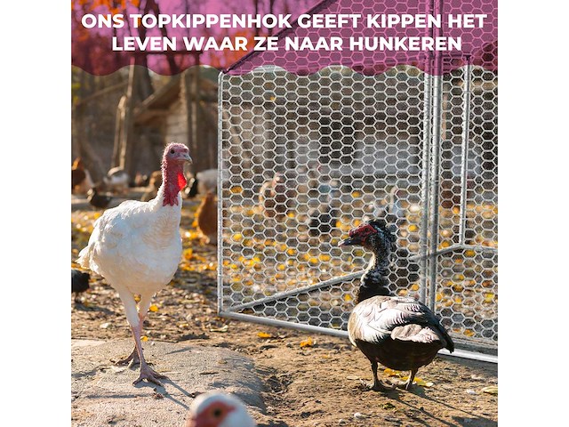 Maxxpet 88129 kippenren - kippenhok metaal - 3x2x2m - afbeelding 5 van  5