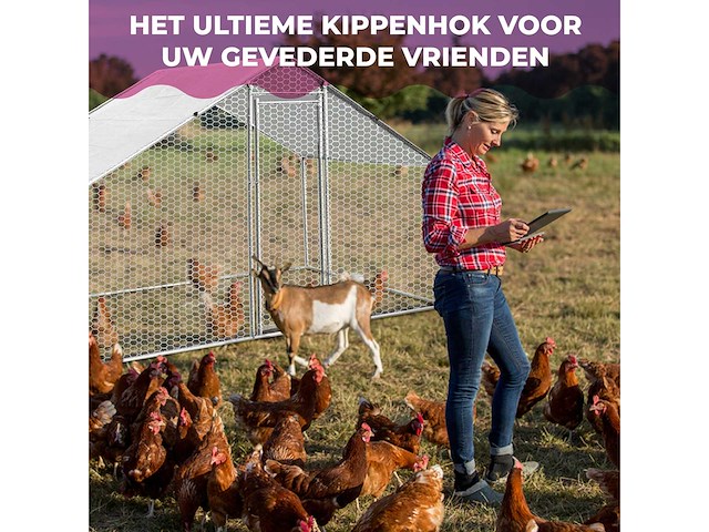 Maxxpet 88129 kippenren - kippenhok metaal - 3x2x2m - afbeelding 4 van  5