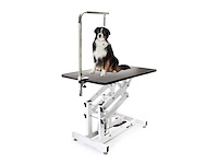Maxxpet 88169 hondentrimtafel met aanlijnoptie hydraulisch 108x60x160cm - afbeelding 1 van  4