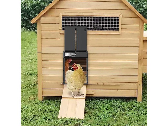 Maxxpet 88266 automatisch kippenluik - 25x5x33cm - afbeelding 4 van  5