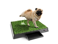 Maxxpet hondentoilet kunstgras 64x52cm - afbeelding 1 van  6