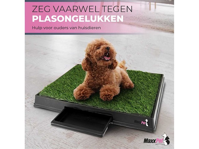 Maxxpet hondentoilet kunstgras 64x52cm - afbeelding 1 van  1