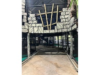 Maya tempel - afbeelding 15 van  54