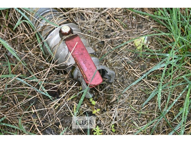 Mazoutton - afbeelding 6 van  7