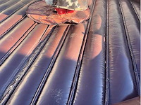 Mechanische rodeostier - bull - compleet - afbeelding 5 van  9