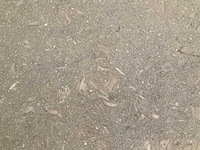 Mediterranean green - afbeelding 5 van  5